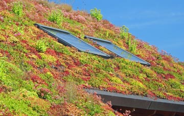 Ashington End living roof systems